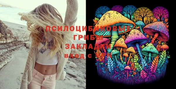 PSILOCYBIN Вяземский