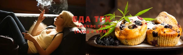 PSILOCYBIN Вяземский