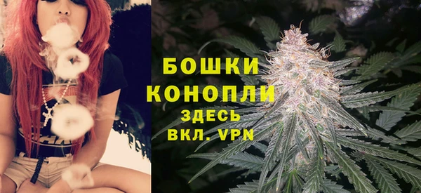 PSILOCYBIN Вяземский