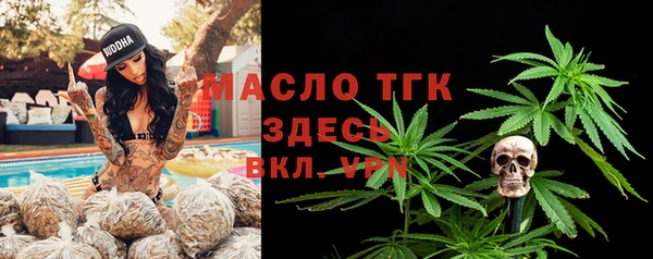 spice Гусев