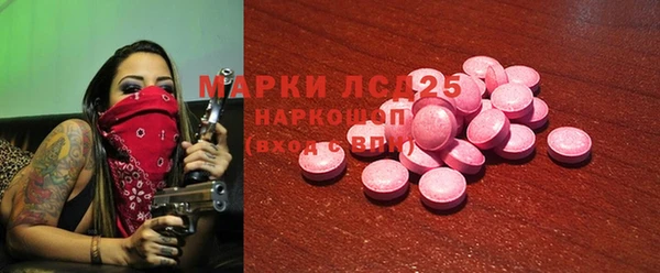 PSILOCYBIN Вяземский