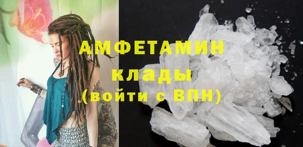 PSILOCYBIN Вяземский